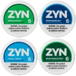 ZYN Mint Mixpack 6MG